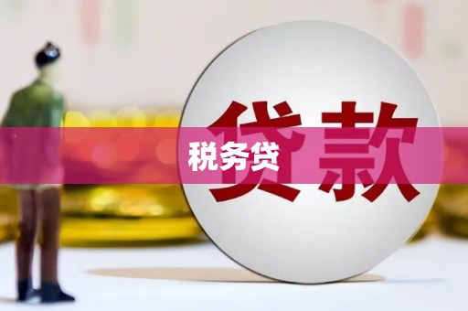 淮上税务贷