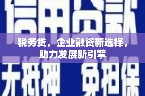 淮上税务贷，企业融资新选择，助力发展新引擎