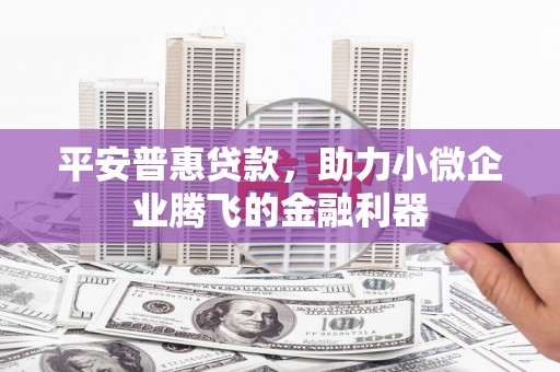 淮上平安普惠贷款，助力小微企业腾飞的金融利器