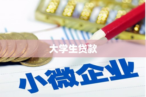 淮上大学生贷款
