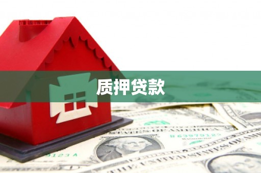 淮上质押贷款