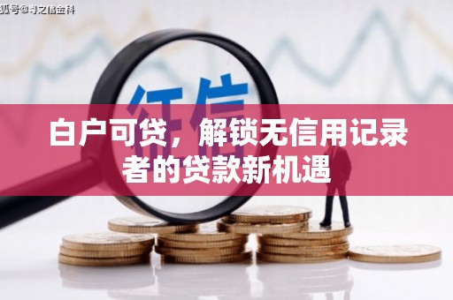 淮上白户可贷，解锁无信用记录者的贷款新机遇