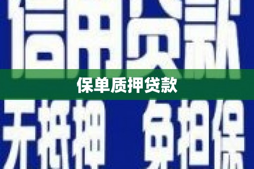 淮上保单质押贷款