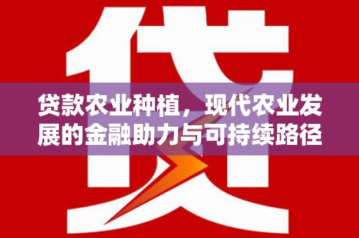 淮上贷款农业种植，现代农业发展的金融助力与可持续路径