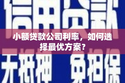 淮上小额贷款公司利率，如何选择最优方案？