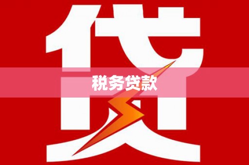 淮上税务贷款
