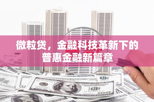 淮上微粒贷，金融科技革新下的普惠金融新篇章