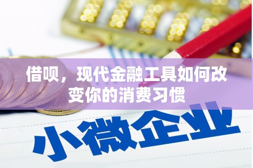 淮上借呗，现代金融工具如何改变你的消费习惯