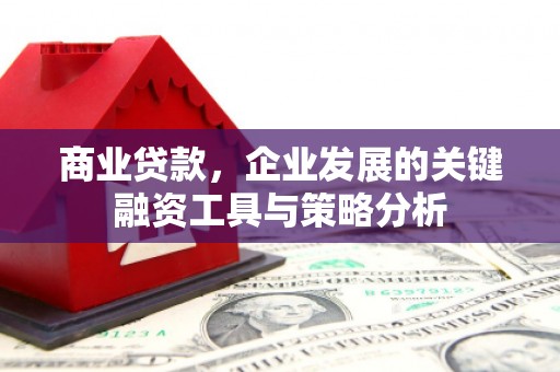 淮上商业贷款，企业发展的关键融资工具与策略分析