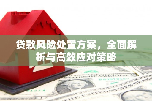 淮上贷款风险处置方案，全面解析与高效应对策略
