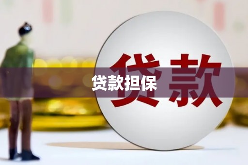 淮上贷款担保