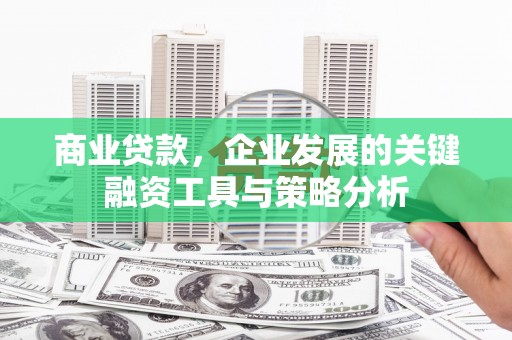 淮上商业贷款，企业发展的关键融资工具与策略分析