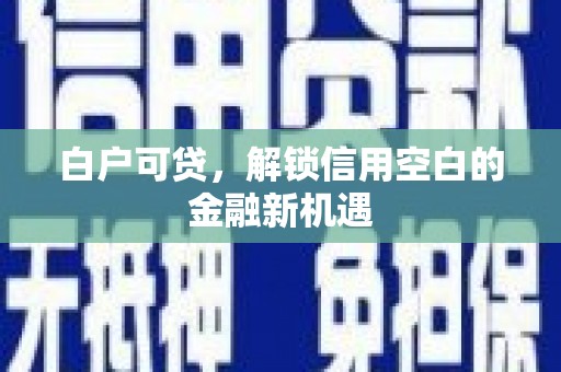 淮上白户可贷，解锁信用空白的金融新机遇