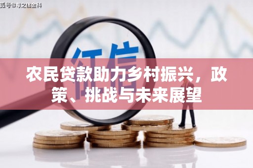淮上农民贷款助力乡村振兴，政策、挑战与未来展望