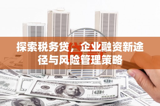 淮上探索税务贷，企业融资新途径与风险管理策略