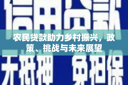 淮上农民贷款助力乡村振兴，政策、挑战与未来展望