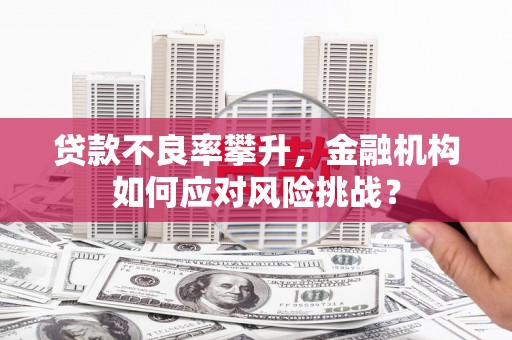 淮上贷款不良率攀升，金融机构如何应对风险挑战？