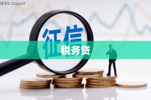 淮上税务贷