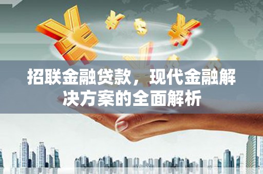 淮上招联金融贷款，现代金融解决方案的全面解析