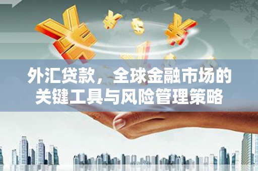 淮上外汇贷款，全球金融市场的关键工具与风险管理策略