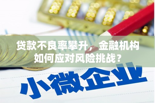 淮上贷款不良率攀升，金融机构如何应对风险挑战？