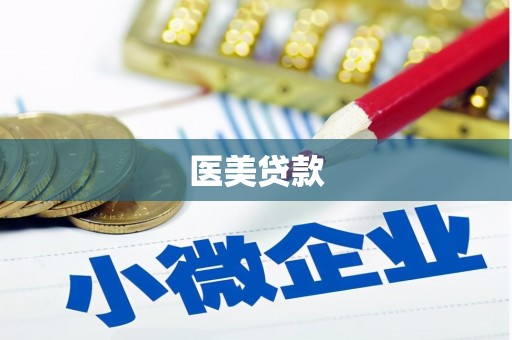 淮上医美贷款