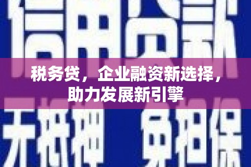 淮上税务贷，企业融资新选择，助力发展新引擎