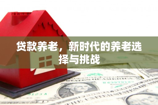 淮上贷款养老，新时代的养老选择与挑战