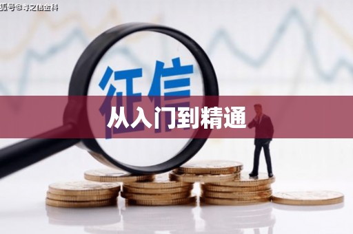 淮上从入门到精通