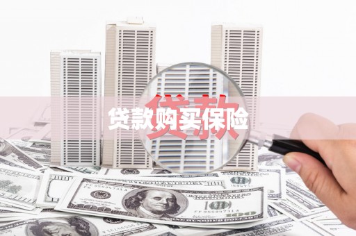 淮上贷款购买保险