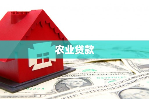淮上农业贷款