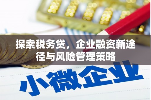 淮上探索税务贷，企业融资新途径与风险管理策略