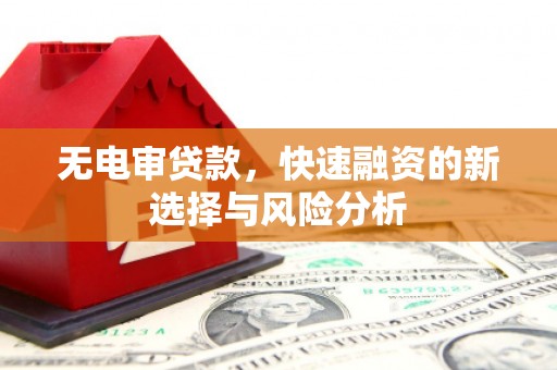 淮上无电审贷款，快速融资的新选择与风险分析
