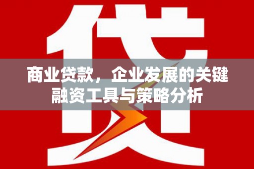 淮上商业贷款，企业发展的关键融资工具与策略分析