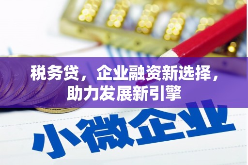 淮上税务贷，企业融资新选择，助力发展新引擎