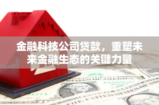 淮上金融科技公司贷款，重塑未来金融生态的关键力量