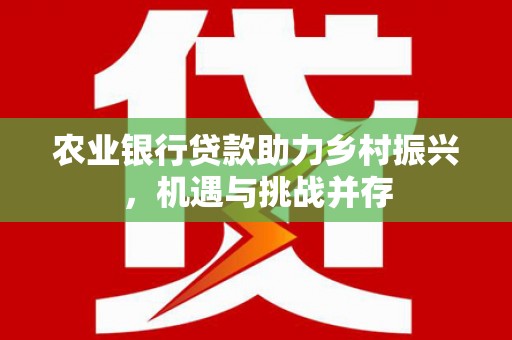 淮上农业银行贷款助力乡村振兴，机遇与挑战并存