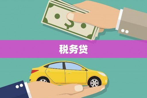 淮上税务贷