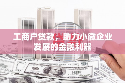 淮上工商户贷款，助力小微企业发展的金融利器