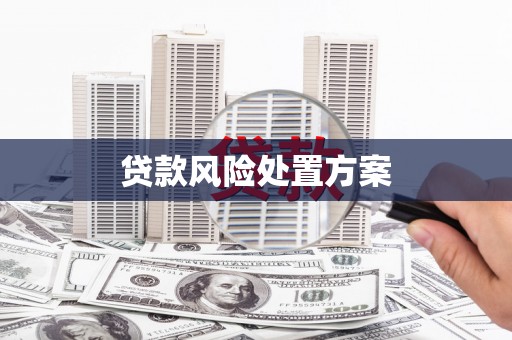 淮上贷款风险处置方案