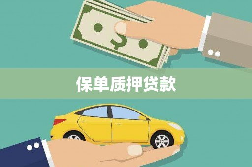 淮上保单质押贷款