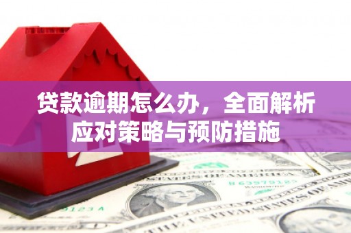 淮上贷款逾期怎么办，全面解析应对策略与预防措施