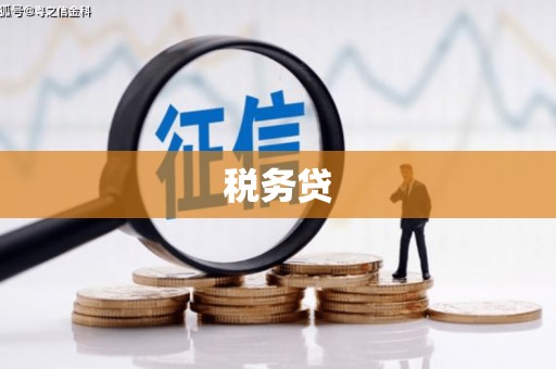 淮上税务贷