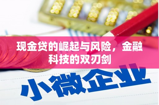淮上现金贷的崛起与风险，金融科技的双刃剑