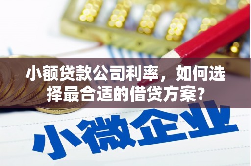 淮上小额贷款公司利率，如何选择最合适的借贷方案？