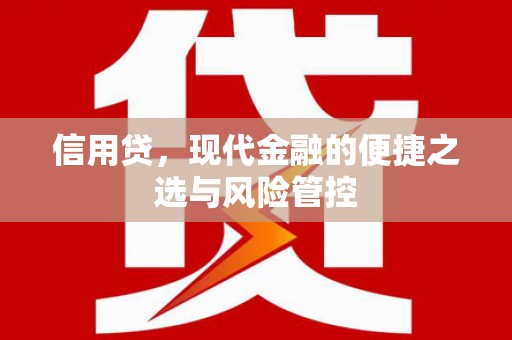 淮上信用贷，现代金融的便捷之选与风险管控
