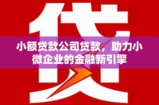 淮上小额贷款公司贷款，助力小微企业的金融新引擎