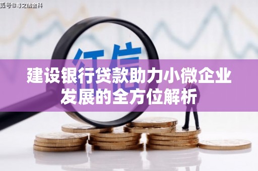 淮上建设银行贷款助力小微企业发展的全方位解析
