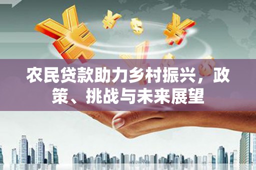 淮上农民贷款助力乡村振兴，政策、挑战与未来展望