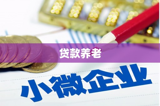 淮上贷款养老